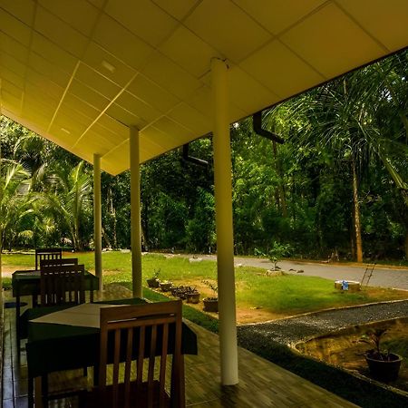 Little Ele Safari Lodge Удавалаве Екстериор снимка