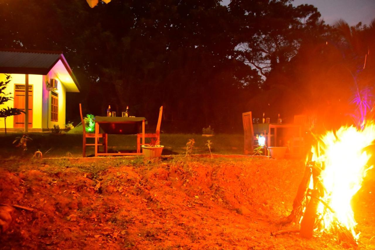 Little Ele Safari Lodge Удавалаве Екстериор снимка
